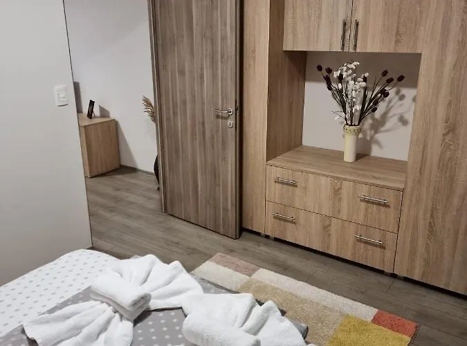 Apartment Premium Timisoara