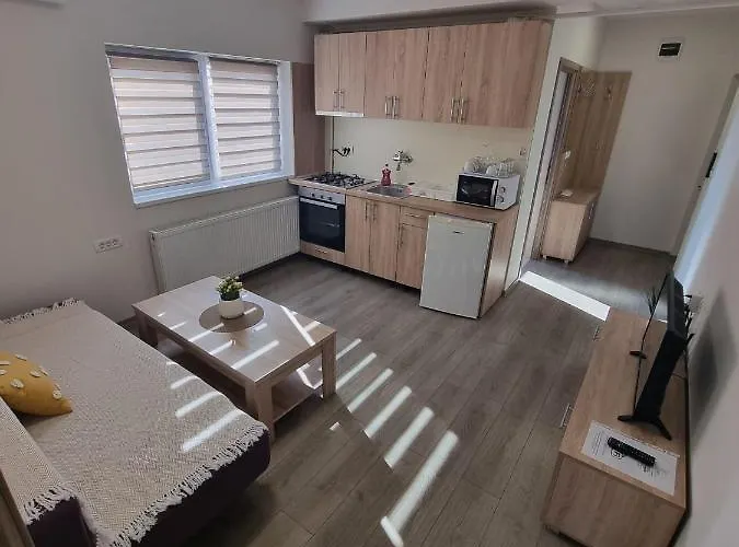 Apartment Premium Timisoara