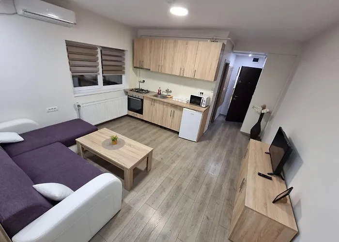 Apartment Premium Timişoara